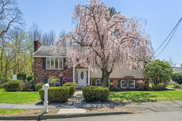 raised ranch with a front yard, brick siding, and a chimney