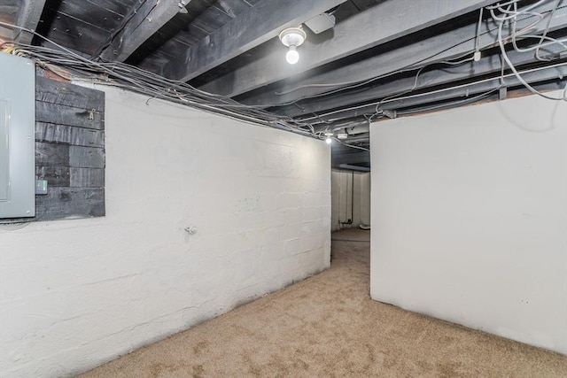 basement with electric panel and carpet flooring