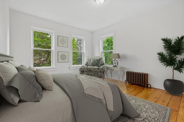 42 Middlesex St, Chelmsford, MA 01863 - bedroom with radiator and hardwood / wood-style floors