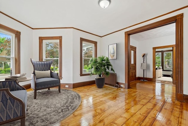 42 Middlesex St, Chelmsford, MA 01863 - sitting room with light wood-type flooring, baseboards, plenty of natural light, and crown molding