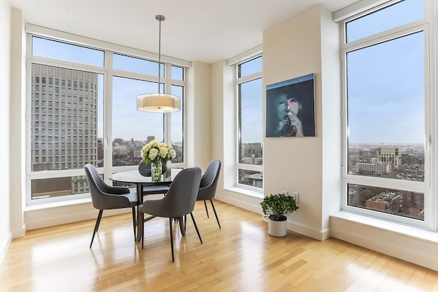 dining room featuring baseboards, a city view, and wood finished floors