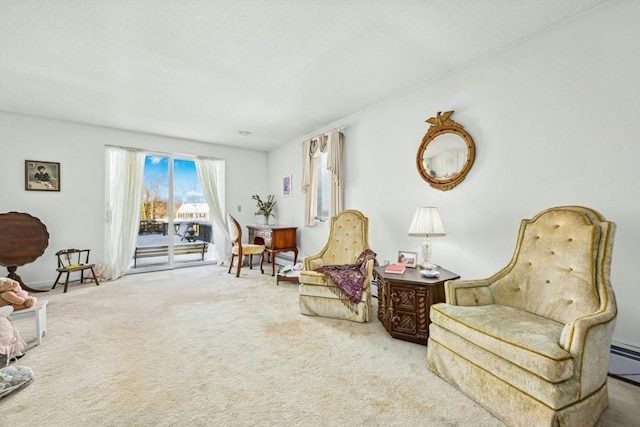 sitting room with carpet flooring