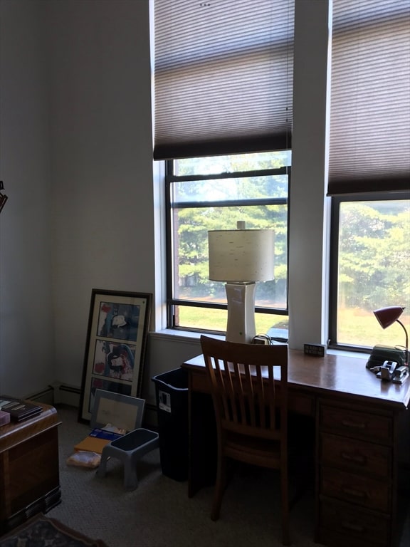 office area featuring carpet flooring and plenty of natural light