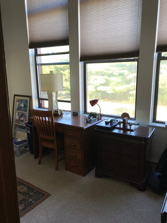 office space with light carpet