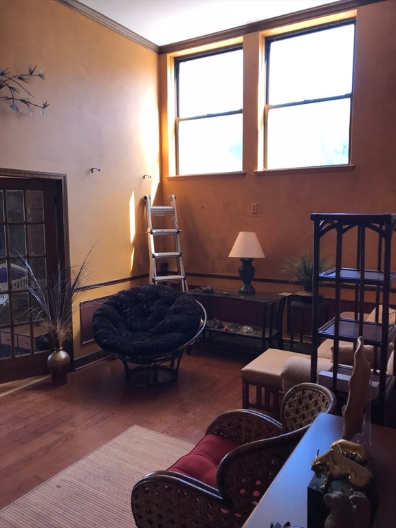 living room with ornamental molding, a healthy amount of sunlight, and hardwood / wood-style flooring