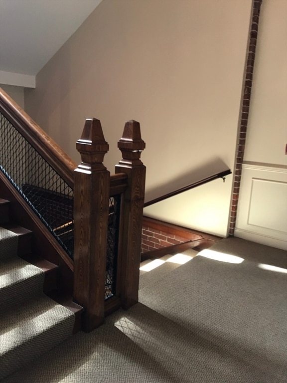 staircase with carpet flooring