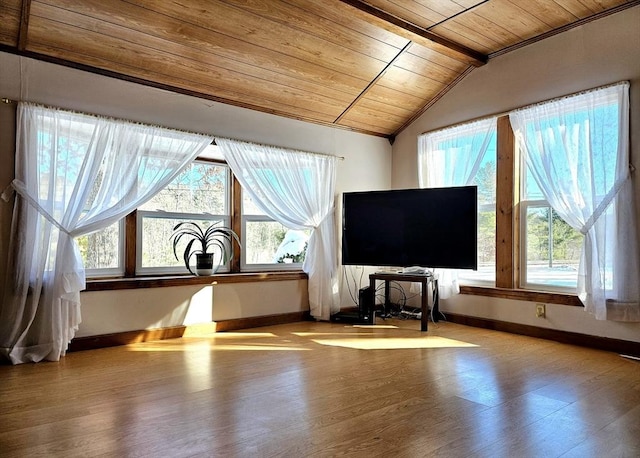 interior space with hardwood / wood-style floors, wood ceiling, and vaulted ceiling