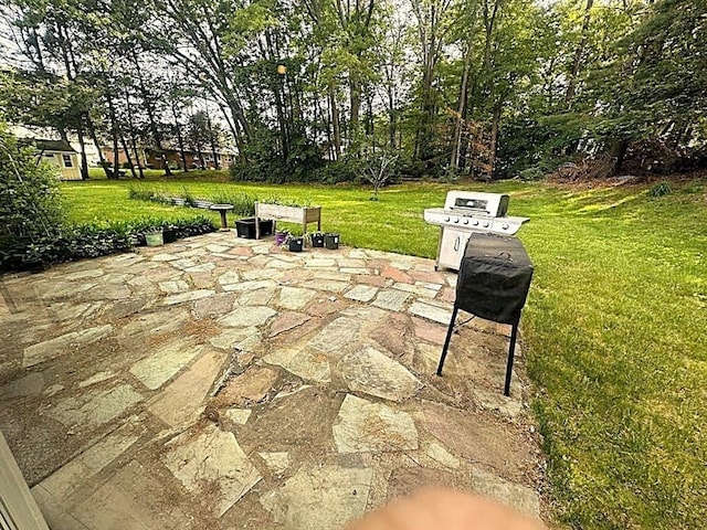 330 Chapin St, Ludlow, MA 01056 - view of patio with grilling area