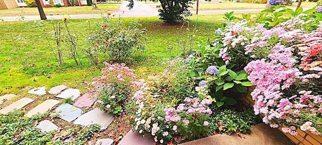 330 Chapin St, Ludlow, MA 01056 - view of yard