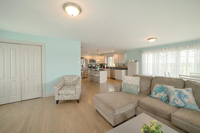living room with light wood-type flooring