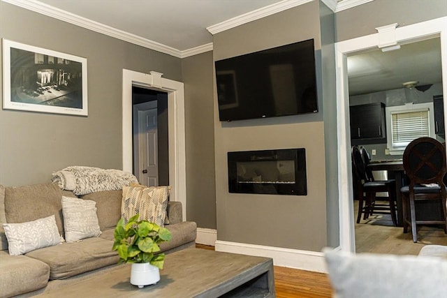 58-60 Virginia St, Springfield, MA 01108 - living room featuring wood finished floors, baseboards, and ornamental molding