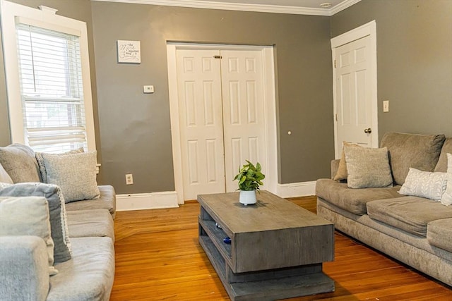 58-60 Virginia St, Springfield, MA 01108 - living area with crown molding, light wood-style floors, and baseboards
