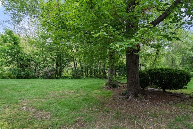 79 Brookdale Cir Unit 79, Shrewsbury, MA 01545 - view of grassy yard