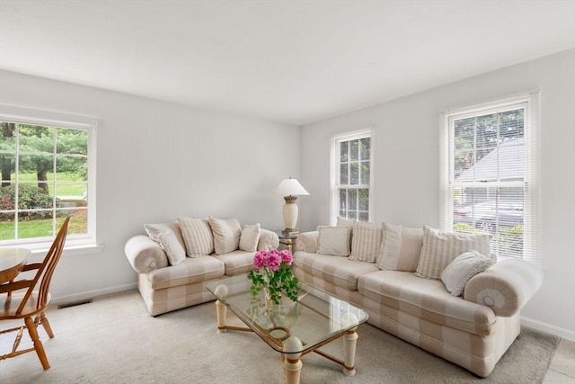 79 Brookdale Cir Unit 79, Shrewsbury, MA 01545 - living area with plenty of natural light, baseboards, and light colored carpet