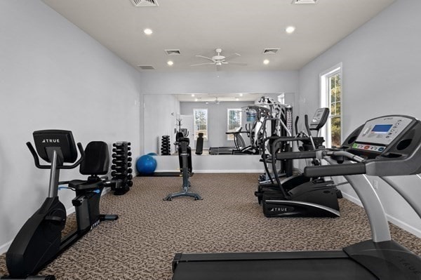 workout area with ceiling fan and carpet flooring