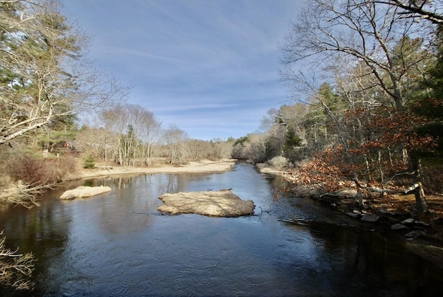 property view of water with a forest view