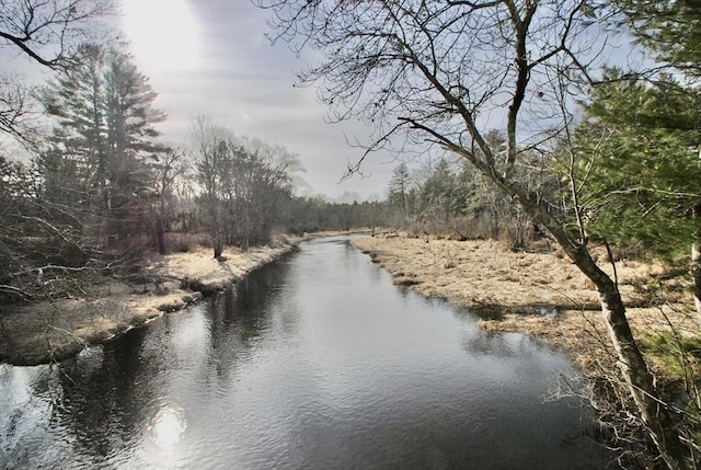 view of water feature with a wooded view