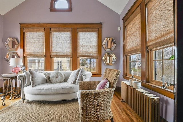 97 Livingston Ave, Lowell, MA 01851 - sunroom / solarium with radiator