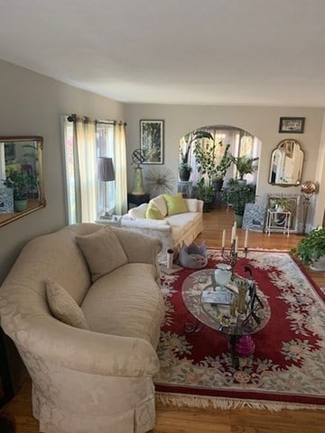 living room featuring hardwood / wood-style flooring and a wealth of natural light