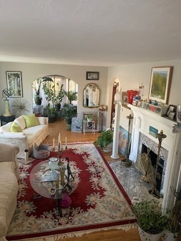 living room featuring hardwood / wood-style flooring