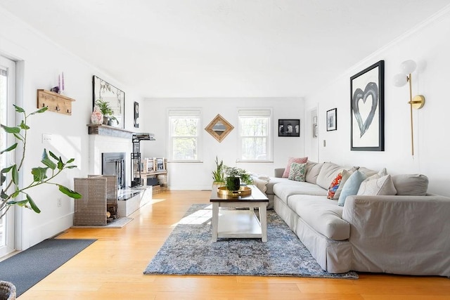 living area with crown molding, baseboards, wood finished floors, and a fireplace