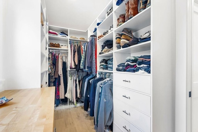 walk in closet featuring wood finished floors