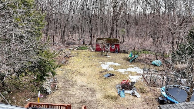 view of yard featuring a storage shed and an outdoor structure