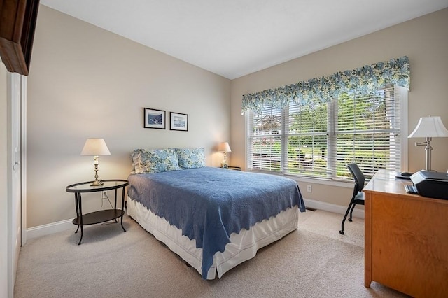 17 Cortland Grove Dr Unit 17, Shrewsbury, MA 01545 - bedroom with carpet and a desk