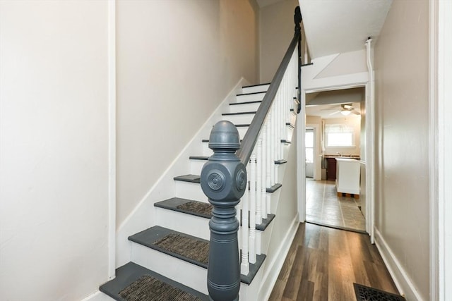 staircase featuring wood finished floors and ceiling fan