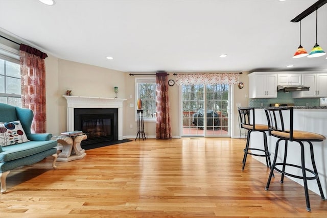 living room featuring light hardwood / wood-style floors