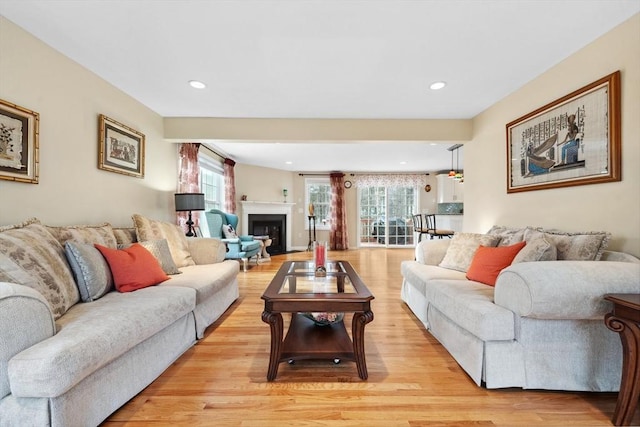 living room with light hardwood / wood-style floors and plenty of natural light