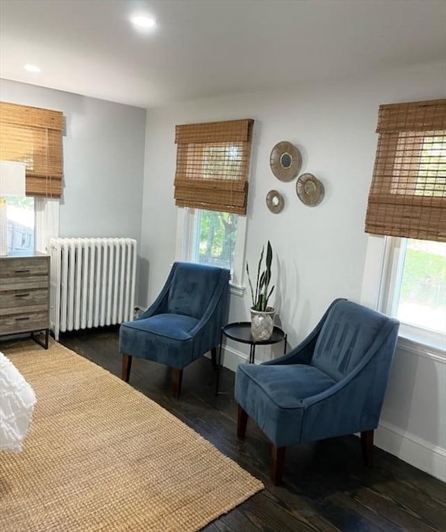 bedroom with multiple windows, radiator, and dark wood-type flooring