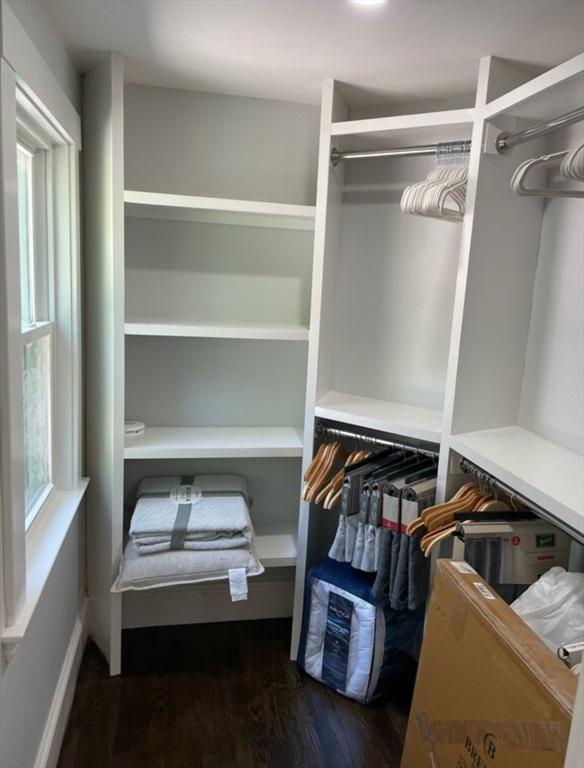 spacious closet with dark hardwood / wood-style floors