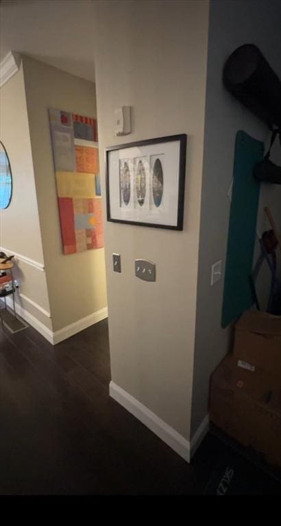 5 Lincoln Ln Unit 5, Grafton, MA 01536 - corridor featuring baseboards and dark wood finished floors