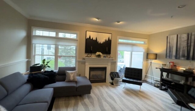5 Lincoln Ln Unit 5, Grafton, MA 01536 - living area with a glass covered fireplace, ornamental molding, and a wainscoted wall