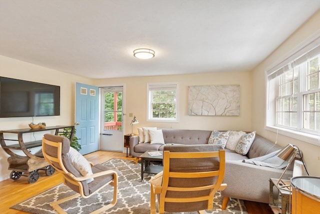 4 Fiske Ave, Chelmsford, MA 01863 - living area with wood finished floors