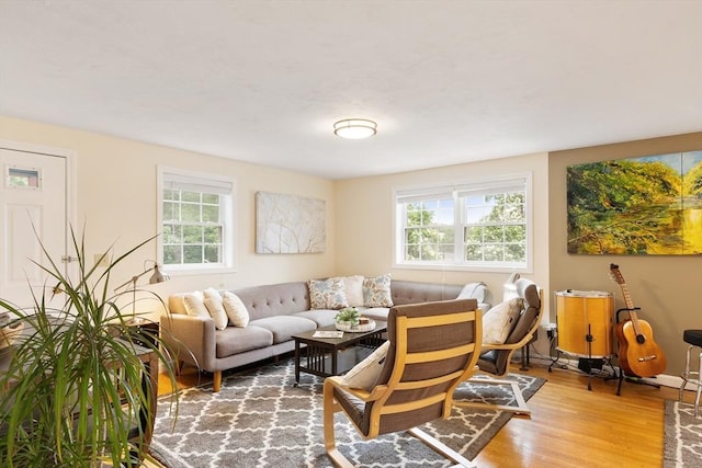 4 Fiske Ave, Chelmsford, MA 01863 - living room with healthy amount of natural light and light wood finished floors