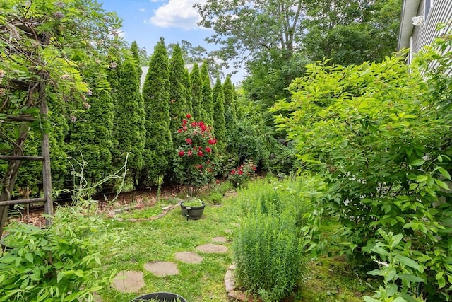 4 Fiske Ave, Chelmsford, MA 01863 - view of yard