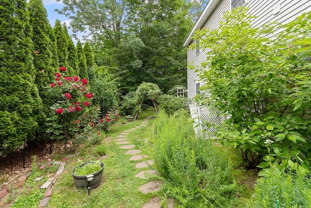 4 Fiske Ave, Chelmsford, MA 01863 - view of yard