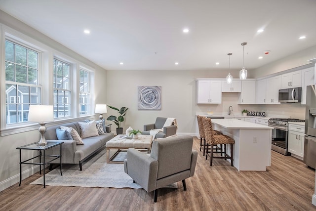 living room with light hardwood / wood-style floors