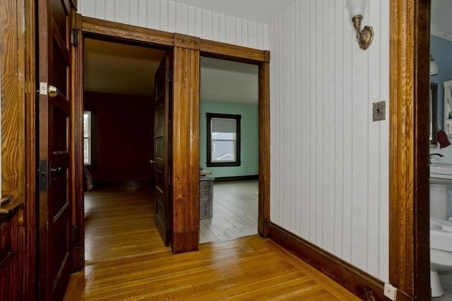 10 Dorchester, Springfield, MA 01109 - hall with hardwood / wood-style floors and wooden walls