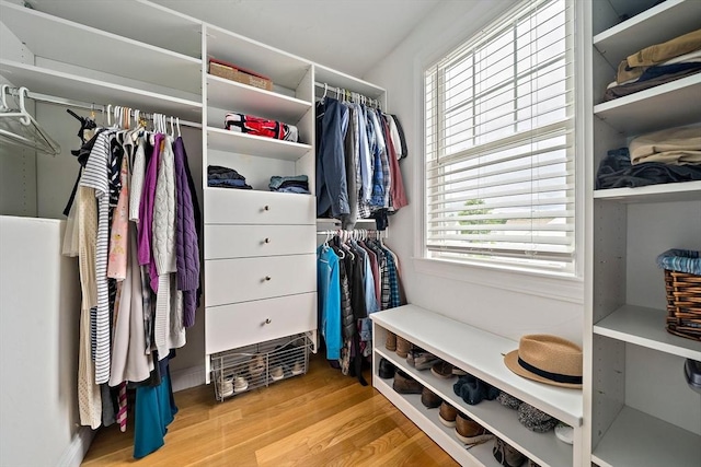 867 Adams St Unit 867, Boston, MA 02124 - walk in closet featuring light wood finished floors