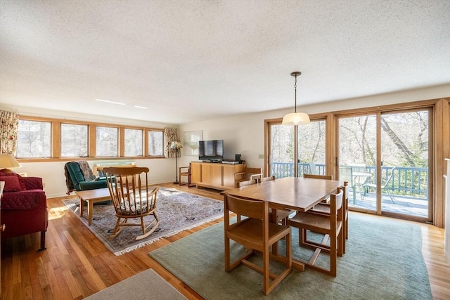 dining room featuring a textured ceiling, wood finished floors, and a healthy amount of sunlight