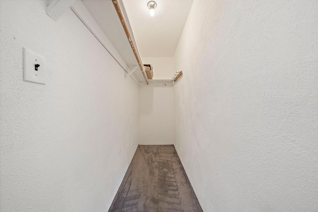 walk in closet featuring carpet