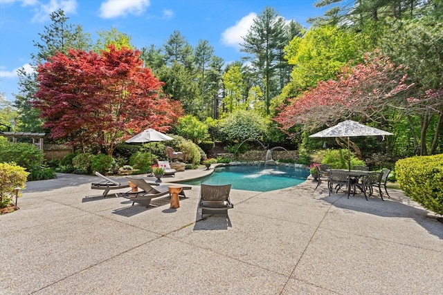 29 Stop River Rd, Norfolk, MA 02056 - swimming pool featuring a patio