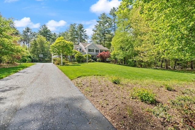 29 Stop River Rd, Norfolk, MA 02056 - view of front of house featuring a front lawn and asphalt driveway