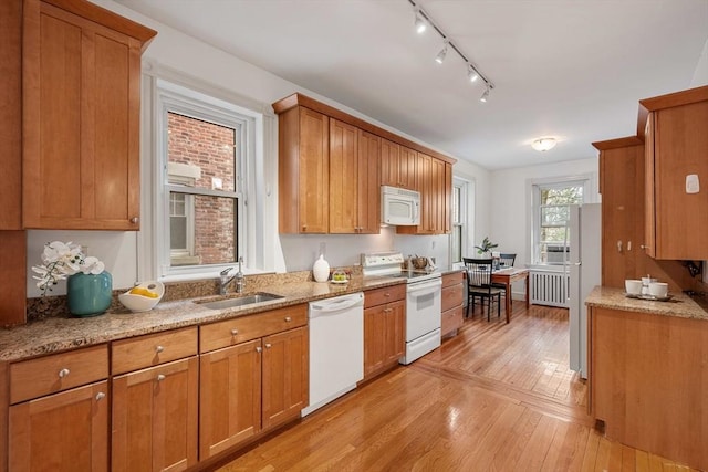 kitchen featuring brown cabinets, a sink, light wood-style floors, radiator, and white appliances