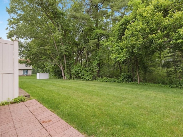 48 Decarolis Dr Unit 48, Tewksbury, MA 01876 - view of grassy yard