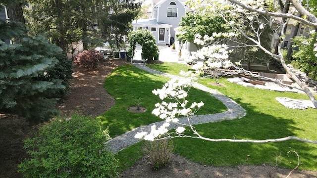 view of grassy yard