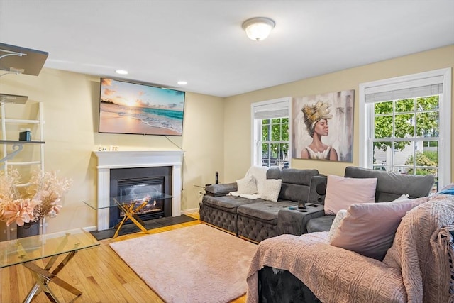 living room featuring wood-type flooring